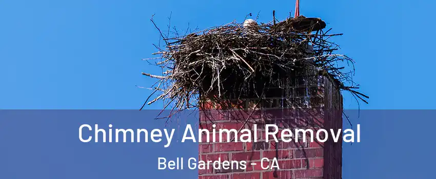 Chimney Animal Removal Bell Gardens - CA
