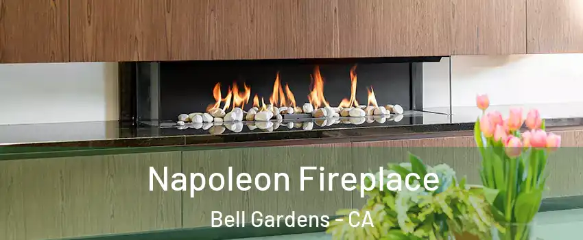 Napoleon Fireplace Bell Gardens - CA